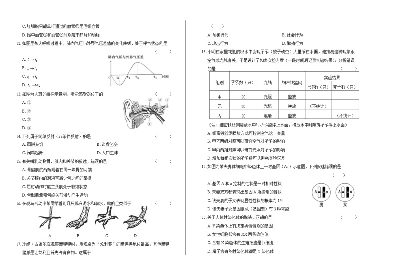 2019年广东省中考生物试卷（含答案与解析）02