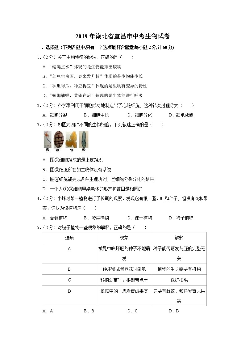 2019年湖北省宜昌市中考生物试卷（含解析）01