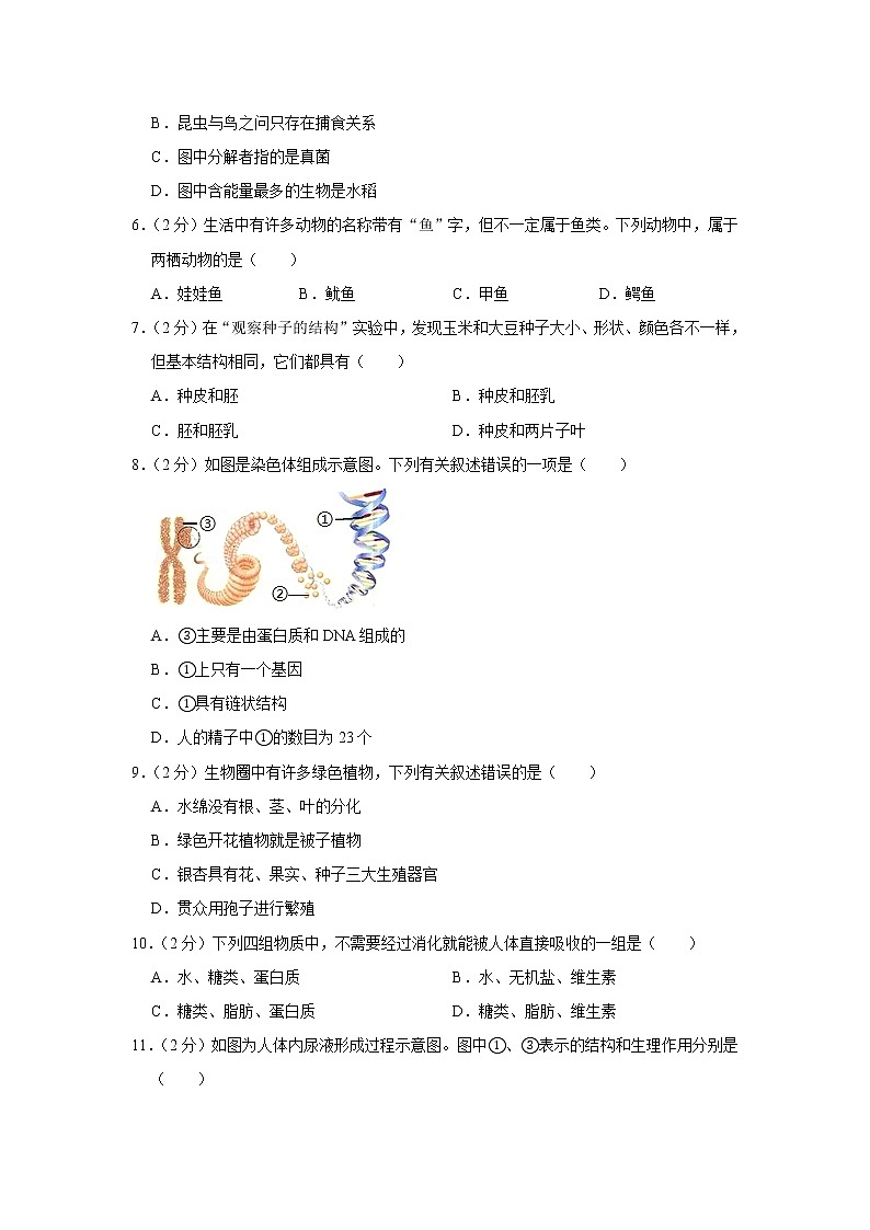 2019年湖南省邵阳市中考生物试卷（含解析）02