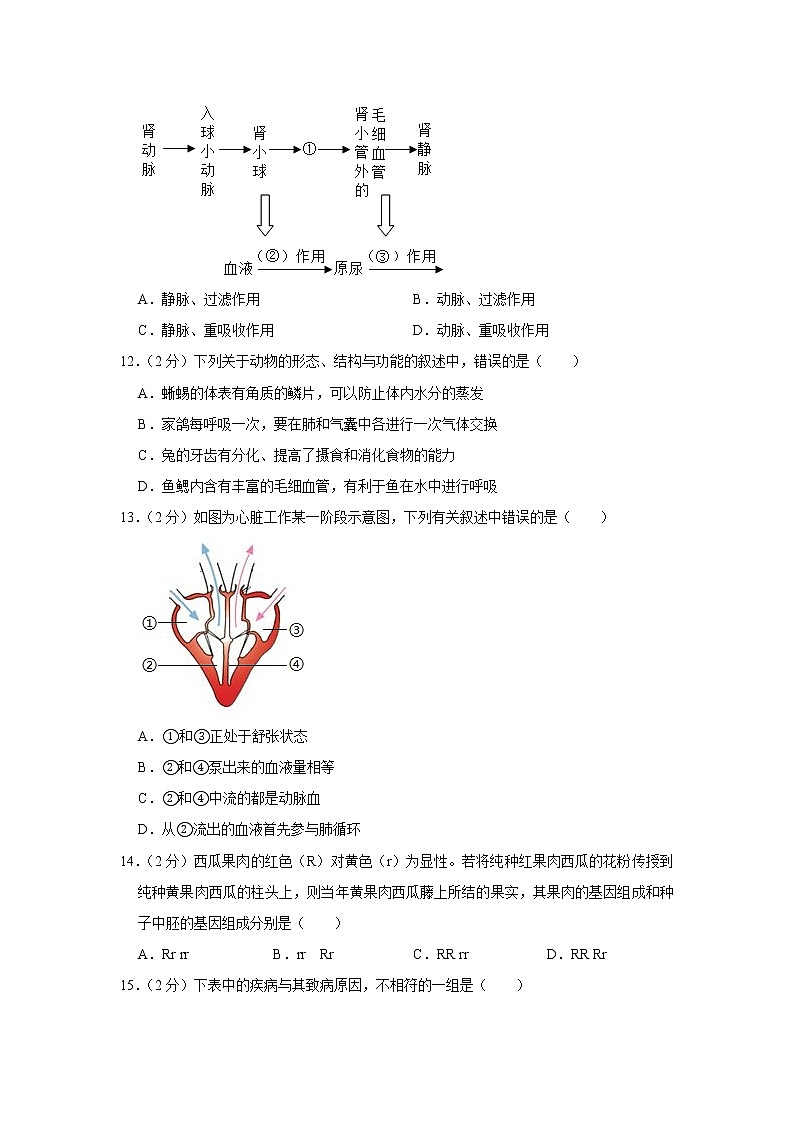 2019年湖南省邵阳市中考生物试卷（含解析）03