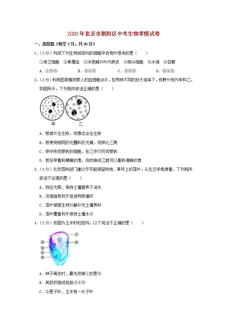 北京市朝阳区2020年中考生物零模试卷01