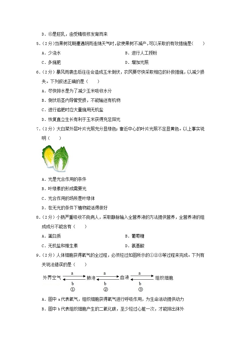 北京市朝阳区2020年中考生物零模试卷02