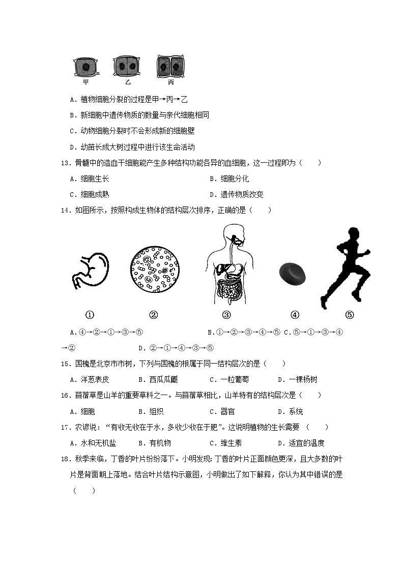 北京市海淀区2020年中考生物模拟试卷（4月份）第3页