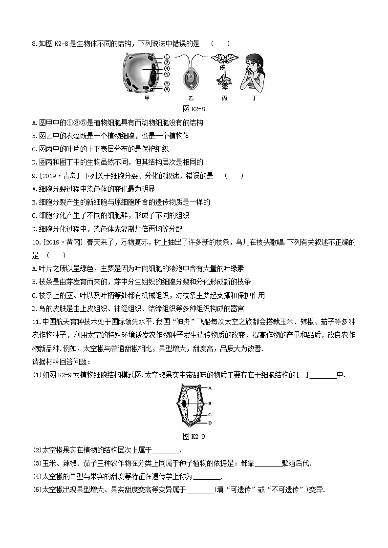（杭州专版）2020中考生物复习方案课时训练02生物体的结构层次第3页