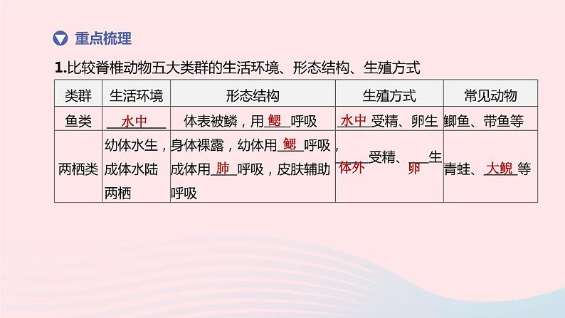 （杭州专版）2020中考生物复习方案第01课时多种多样的生物课件03