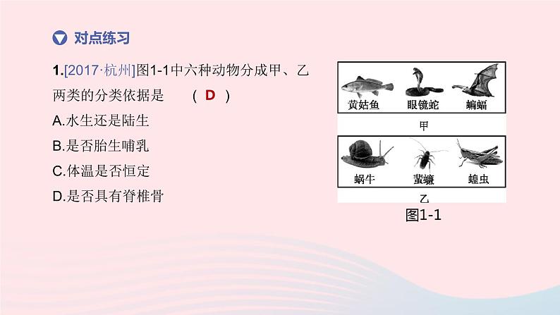 （杭州专版）2020中考生物复习方案第01课时多种多样的生物课件07