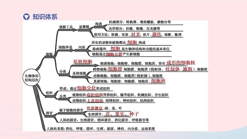 （杭州专版）2020中考生物复习方案第02课时生物体的结构层次课件第2页