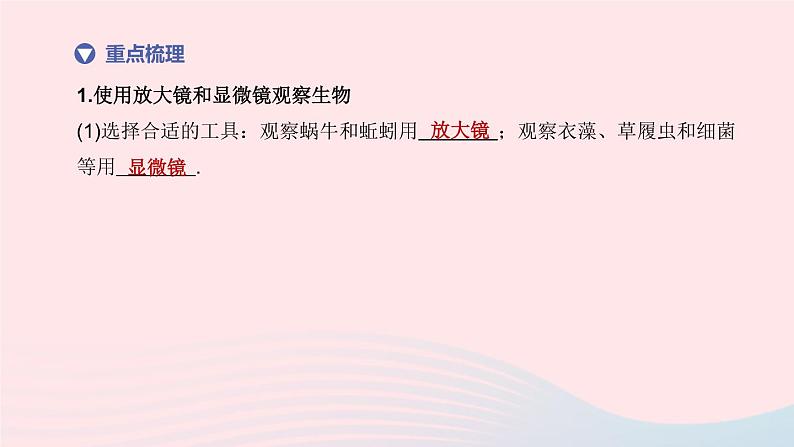 （杭州专版）2020中考生物复习方案第02课时生物体的结构层次课件第3页