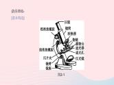 （杭州专版）2020中考生物复习方案第02课时生物体的结构层次课件
