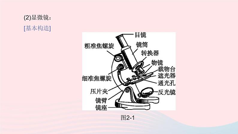 （杭州专版）2020中考生物复习方案第02课时生物体的结构层次课件第4页