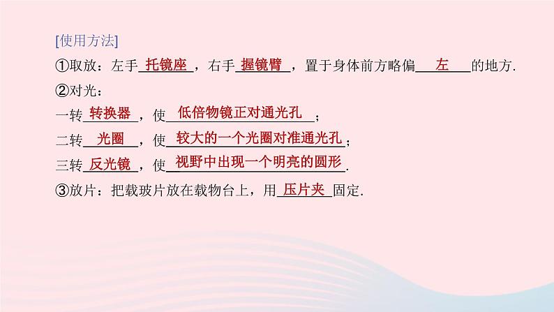 （杭州专版）2020中考生物复习方案第02课时生物体的结构层次课件第5页