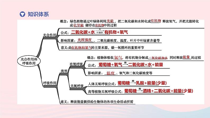 （杭州专版）2020中考生物复习方案第04课时绿色植物的光合作用和呼吸作用课件第2页