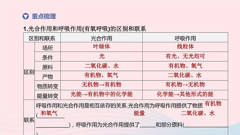 （杭州专版）2020中考生物复习方案第04课时绿色植物的光合作用和呼吸作用课件第3页