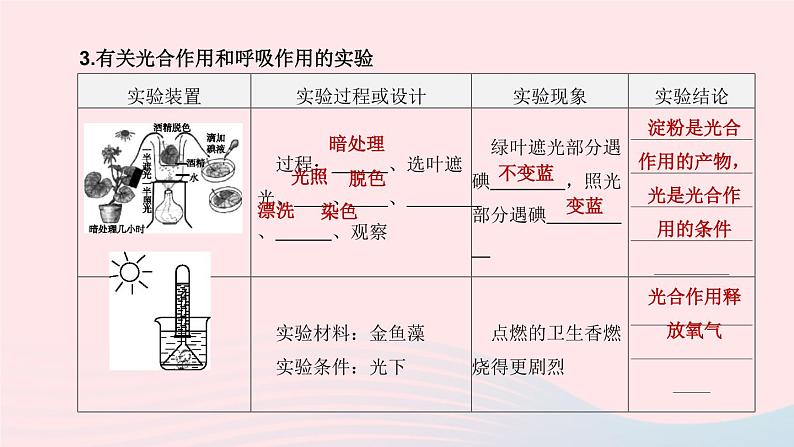 （杭州专版）2020中考生物复习方案第04课时绿色植物的光合作用和呼吸作用课件第6页