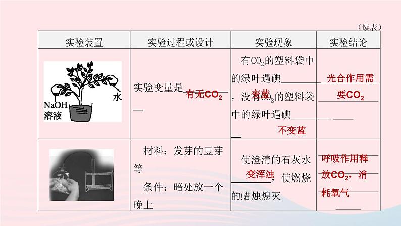 （杭州专版）2020中考生物复习方案第04课时绿色植物的光合作用和呼吸作用课件第7页