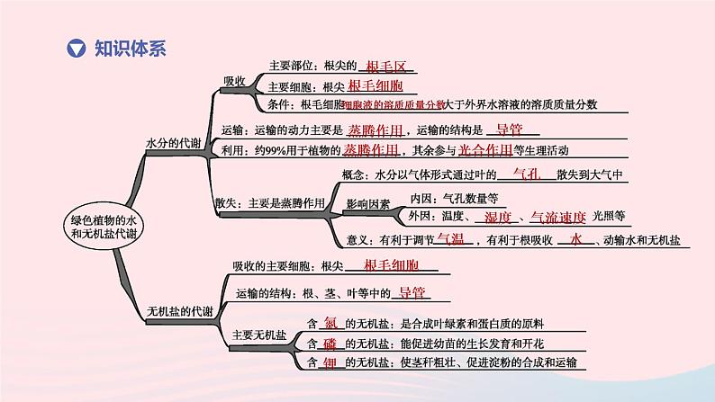 （杭州专版）2020中考生物复习方案第05课时绿色植物的水和无机盐代谢课件02