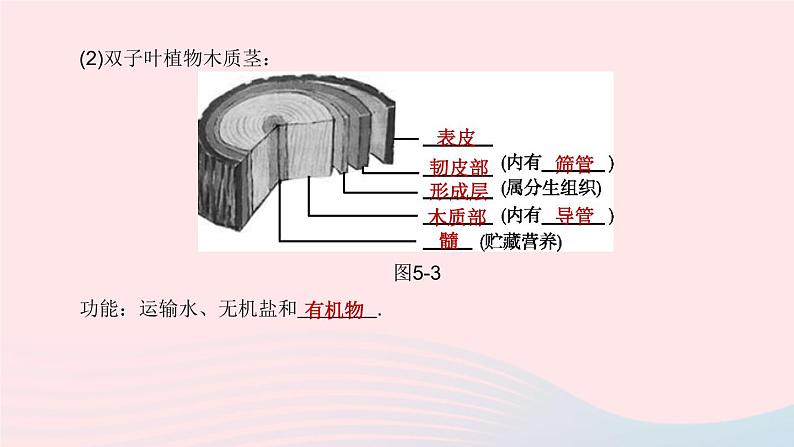 （杭州专版）2020中考生物复习方案第05课时绿色植物的水和无机盐代谢课件05