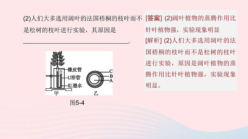 （杭州专版）2020中考生物复习方案第05课时绿色植物的水和无机盐代谢课件08