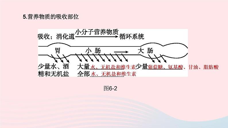 （杭州专版）2020中考生物复习方案第06课时与人体代谢相关的系统――呼吸和消化课件07