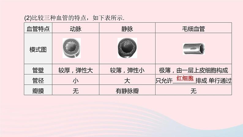 （杭州专版）2020中考生物复习方案第07课时与人体代谢相关的系统――循环和泌尿课件第6页