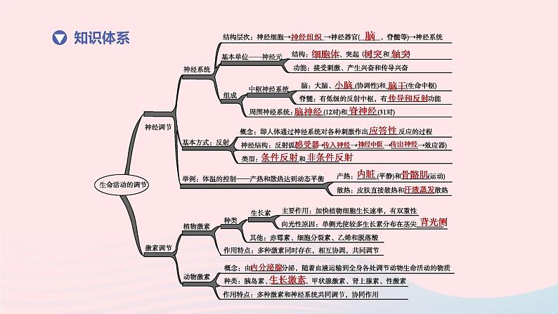 （杭州专版）2020中考生物复习方案第08课时生命活动的调节课件第2页