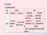 （杭州专版）2020中考生物复习方案第08课时生命活动的调节课件