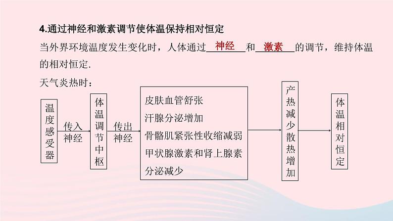 （杭州专版）2020中考生物复习方案第08课时生命活动的调节课件第7页