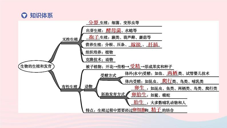 （杭州专版）2020中考生物复习方案第09课时生物的生殖和发育课件02