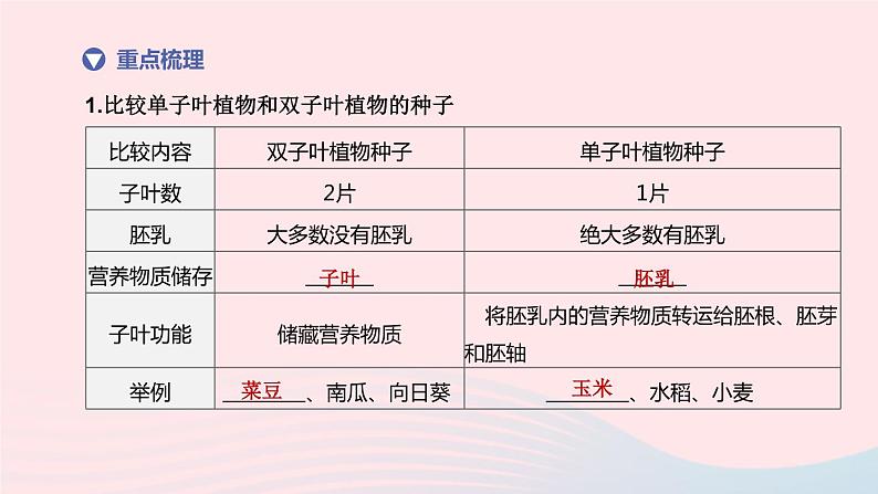 （杭州专版）2020中考生物复习方案第09课时生物的生殖和发育课件03