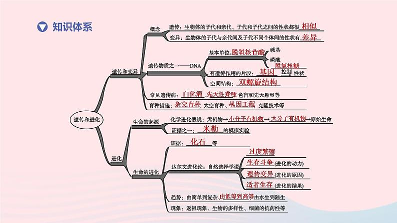 （杭州专版）2020中考生物复习方案第10课时遗传和进化课件02