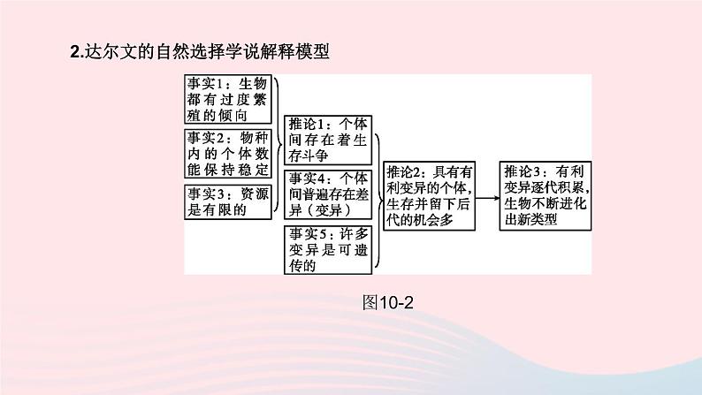 （杭州专版）2020中考生物复习方案第10课时遗传和进化课件04