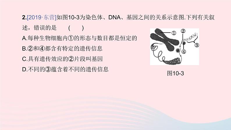 （杭州专版）2020中考生物复习方案第10课时遗传和进化课件06