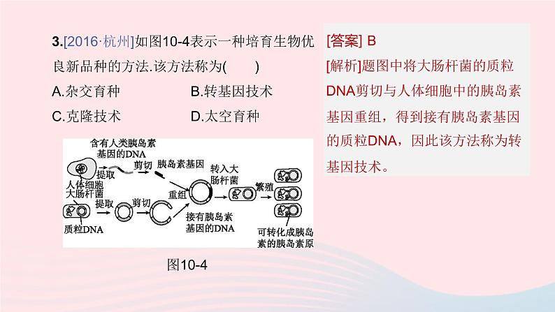 （杭州专版）2020中考生物复习方案第10课时遗传和进化课件08