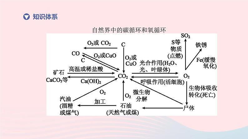 （杭州专版）2020中考生物复习方案第13课时物质间的循环和转化课件02