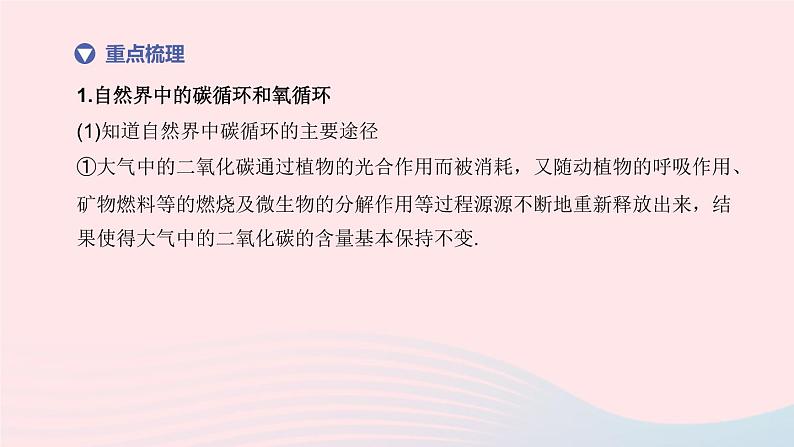 （杭州专版）2020中考生物复习方案第13课时物质间的循环和转化课件04