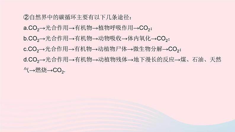 （杭州专版）2020中考生物复习方案第13课时物质间的循环和转化课件05