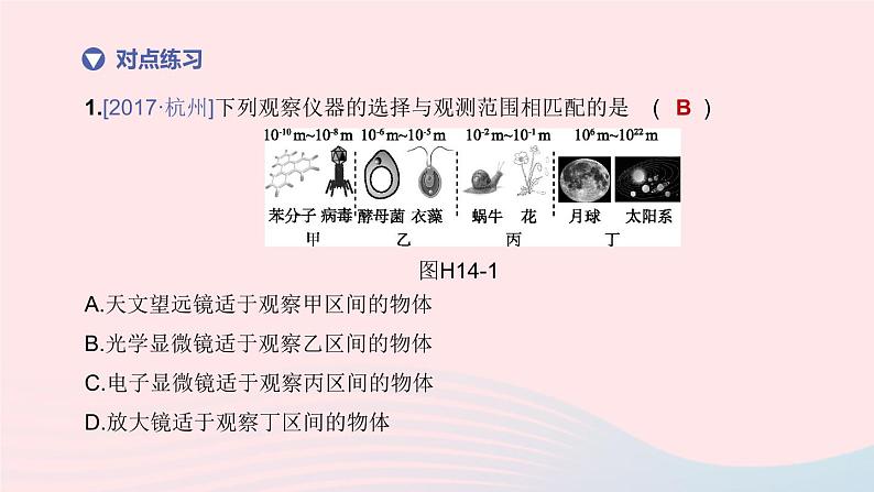 （杭州专版）2020中考生物复习方案第14课时科学探究课件05