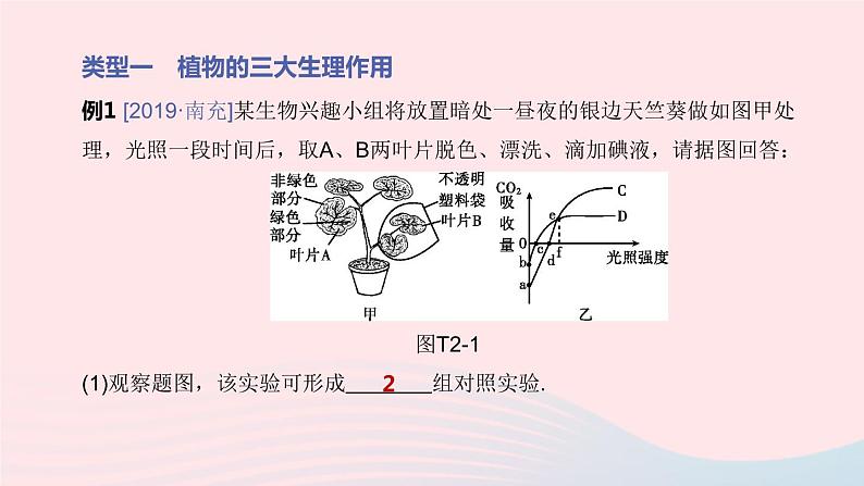 （杭州专版）2020中考生物复习方案专题02植物的代谢和生殖课件03