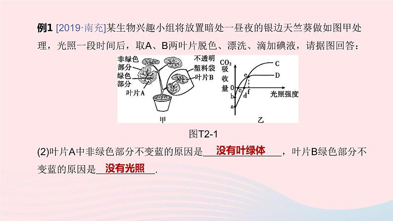 （杭州专版）2020中考生物复习方案专题02植物的代谢和生殖课件04