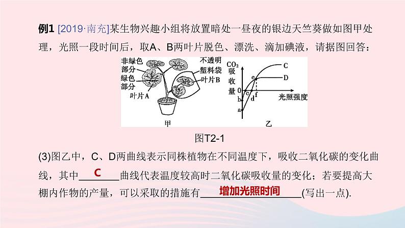 （杭州专版）2020中考生物复习方案专题02植物的代谢和生殖课件05