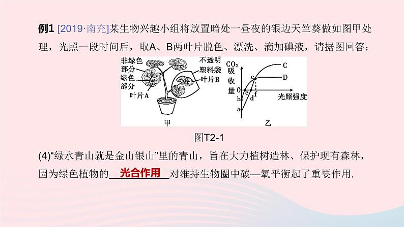 （杭州专版）2020中考生物复习方案专题02植物的代谢和生殖课件06