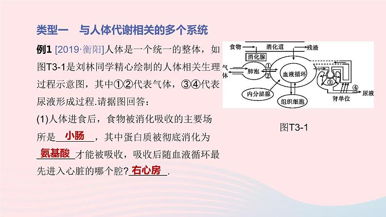 （杭州专版）2020中考生物复习方案专题03人体的物质和能量转换课件03