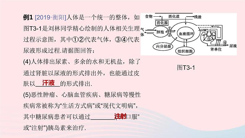 （杭州专版）2020中考生物复习方案专题03人体的物质和能量转换课件05