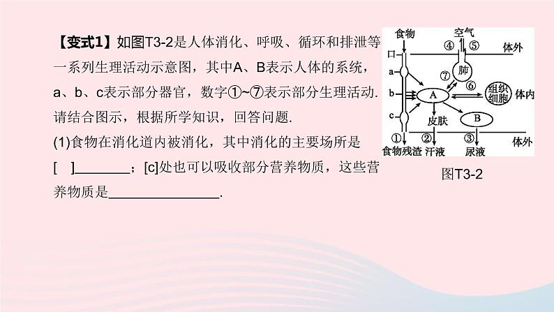 （杭州专版）2020中考生物复习方案专题03人体的物质和能量转换课件06