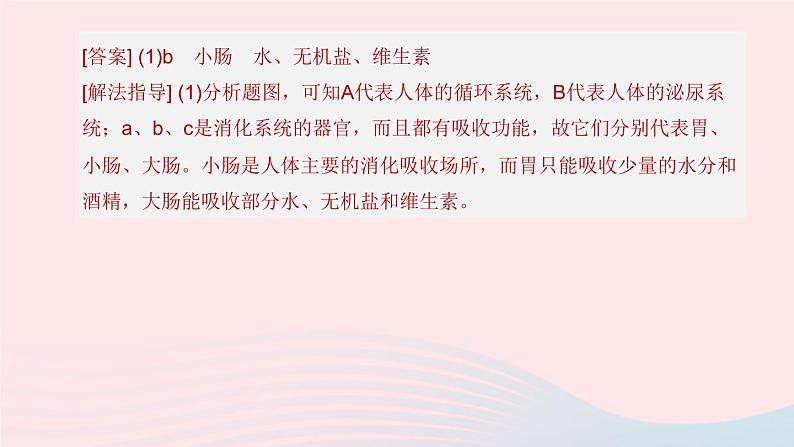 （杭州专版）2020中考生物复习方案专题03人体的物质和能量转换课件07