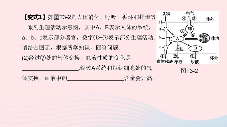 （杭州专版）2020中考生物复习方案专题03人体的物质和能量转换课件08