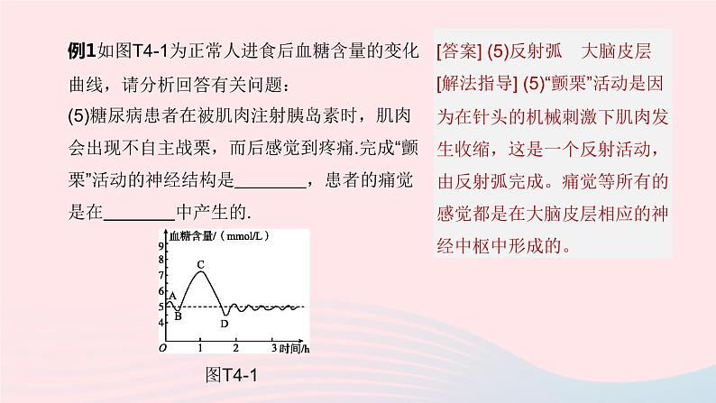 （杭州专版）2020中考生物复习方案专题04生命活动的调节课件06