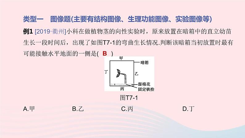 （杭州专版）2020中考生物复习方案专题07生物图像和图表题课件第4页