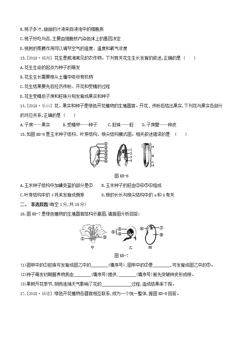 2020中考生物一轮复习方案第二单元生物圈中的绿色植物课时训练08被子植物的一生试题第3页
