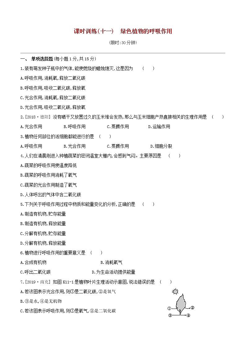 2020中考生物一轮复习方案第二单元生物圈中的绿色植物课时训练11绿色植物的呼吸作用试题第1页